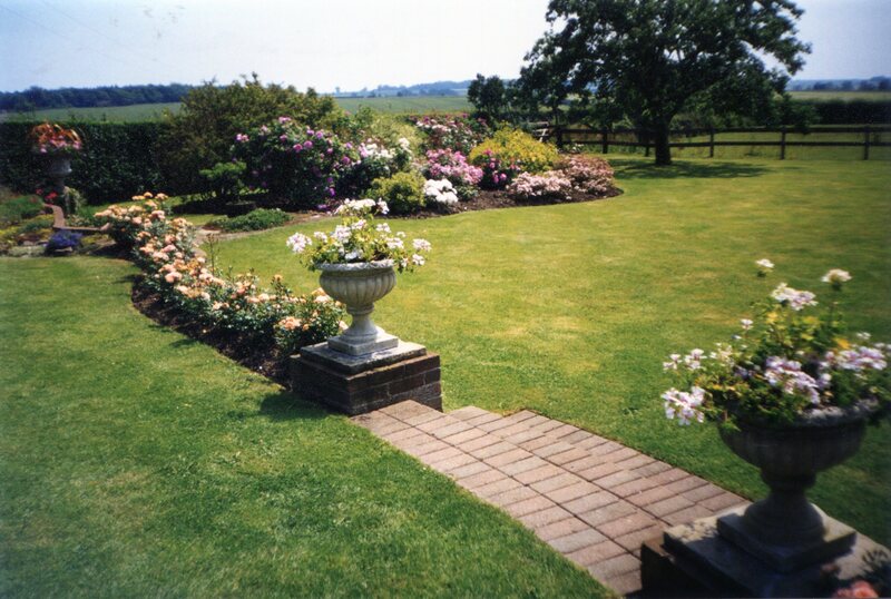 view over garden lawn