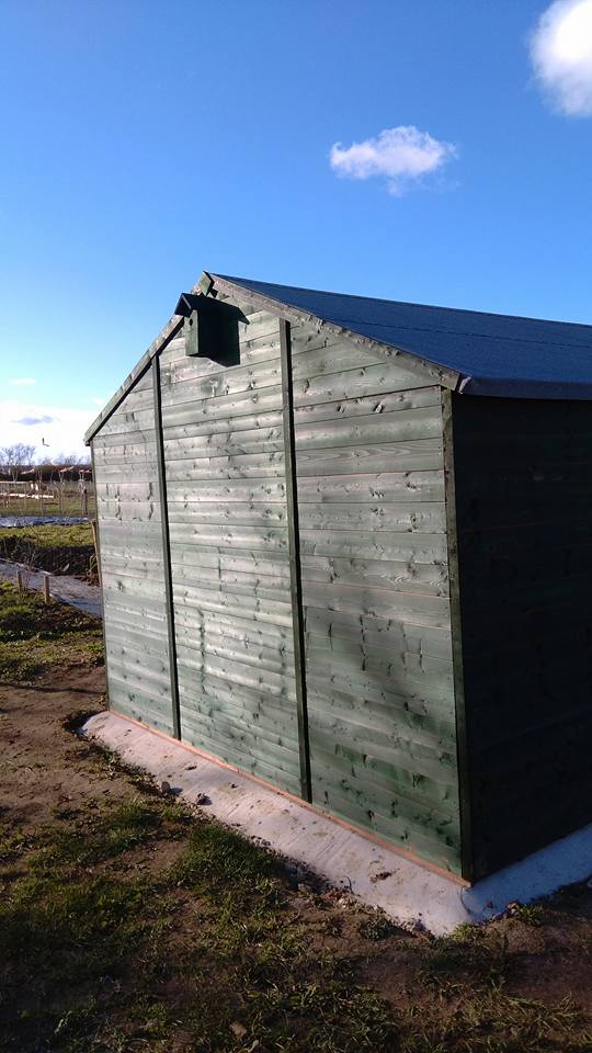 Shed on the allotments