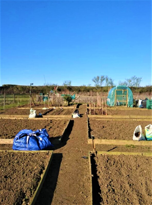 allotments in spring