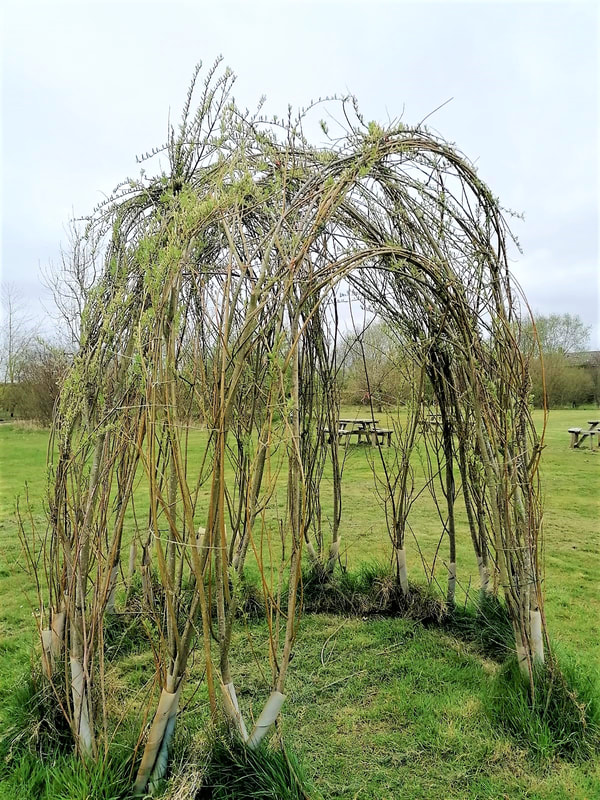 willow tree sculpture