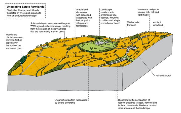 diagram of undulating estate farmlands