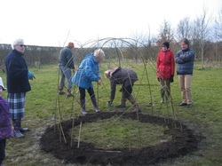 Planting the living willow sculpture, 2015