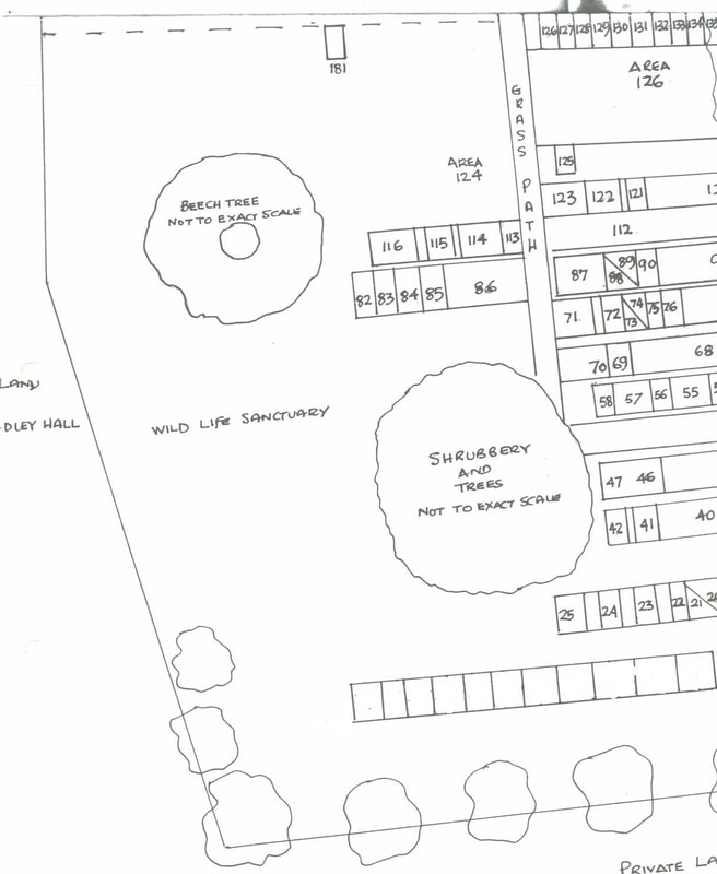 plan of SE corner of churchyard
